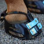 Scoot Boot Mud Straps (2 Pack)